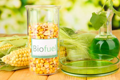 Bordesley Green biofuel availability